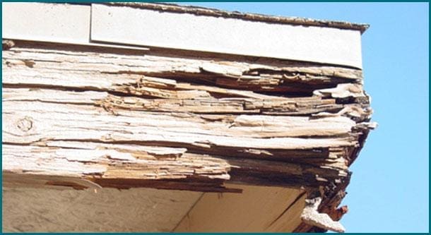 allpro-painters-wood-rot-repair